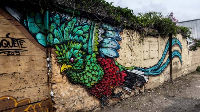 street art of the quetzal bird 