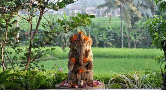 The Yoga Barn - Bali - Hi Yogis and Yoginis! The Seeds of True Self-The Journey of Truth and Purity Series workshop is back on this Friday, May 8, 2015 at 9:00am-12:00pm!