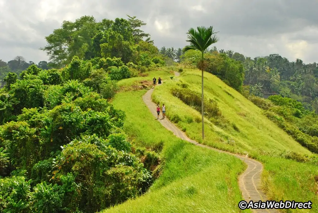 Campuhan ridge. Photo credit: www.bali-indonesia.com