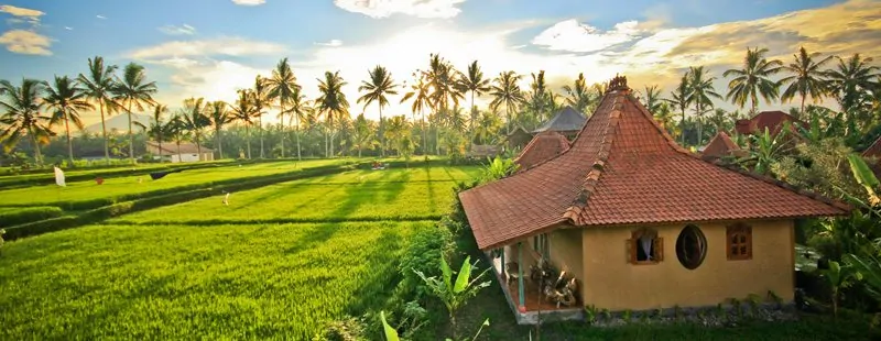 Photo credit: Dragonfly Village, Ubud