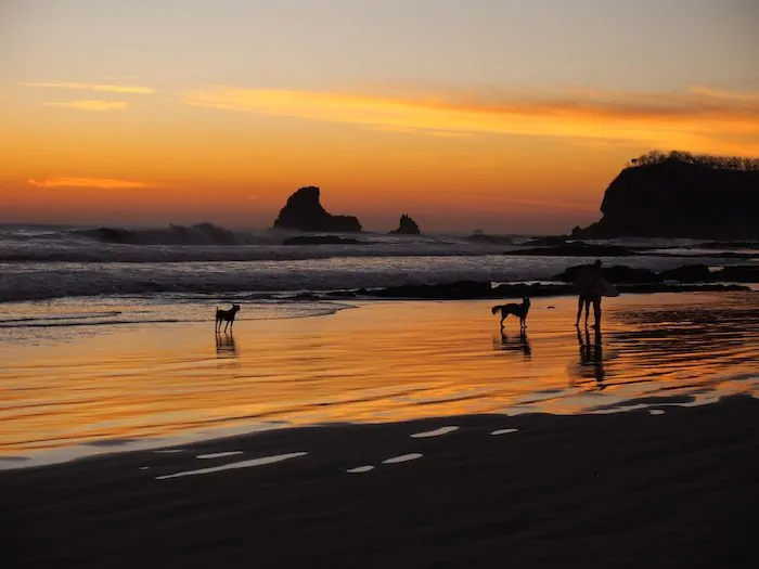 maderas beach sunset surfer