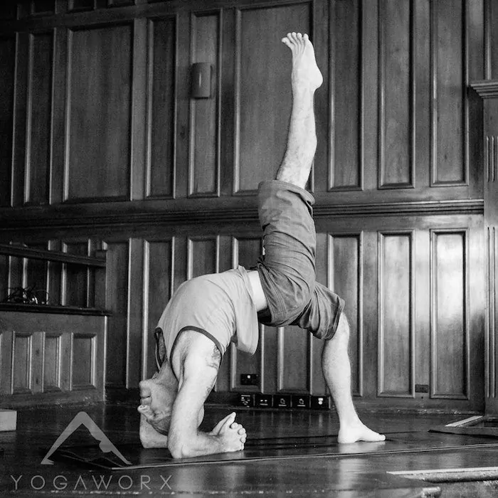 yoga pose les leventhal dwi pada viparita