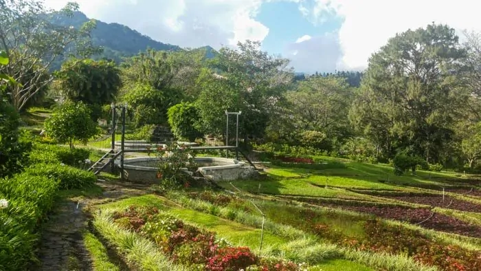 beautiful garden in Boquete