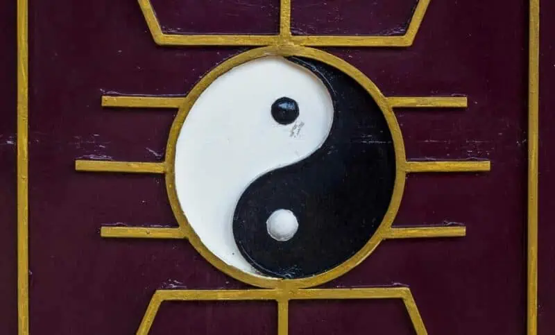 yin yang circle