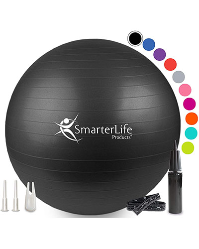 SmarterLife Exercise Ball