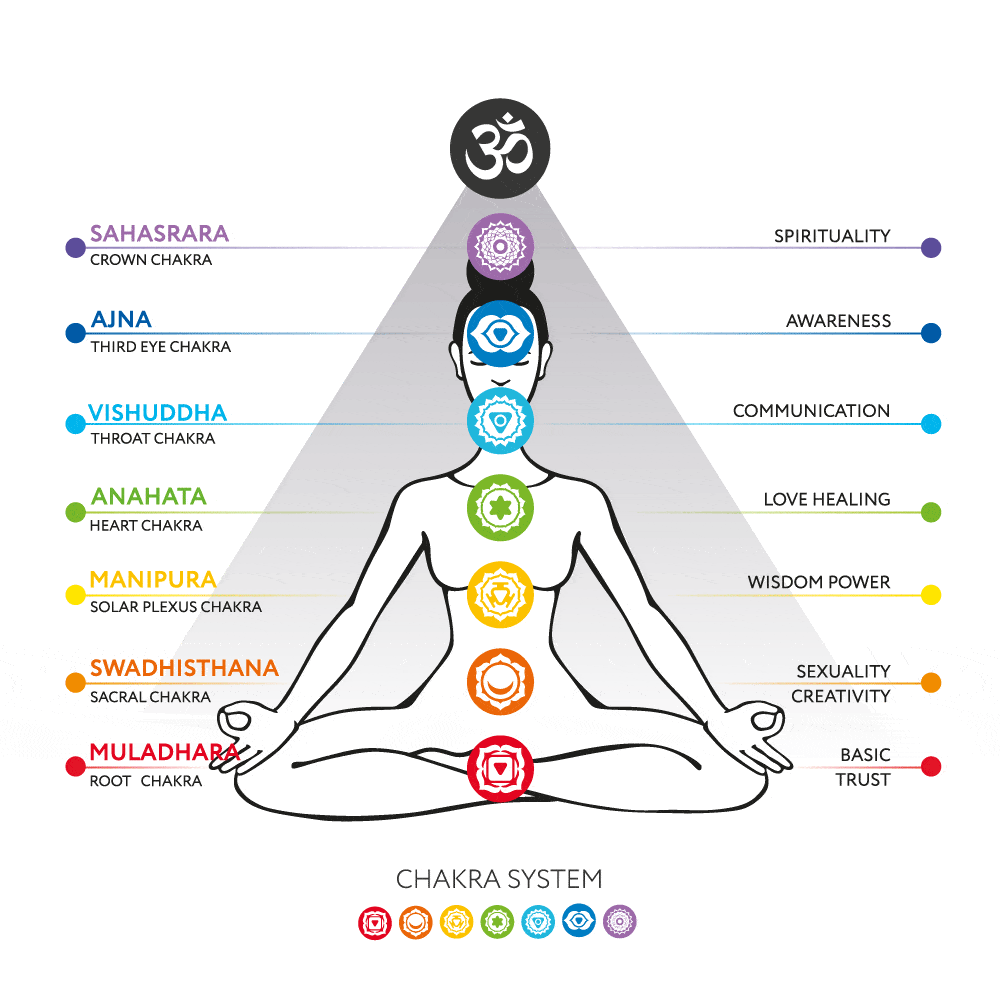 opvoeder nieuws kalkoen Chakra Meditation: How To Align Your Subtle Body Through Meditation - The  Yoga Nomads