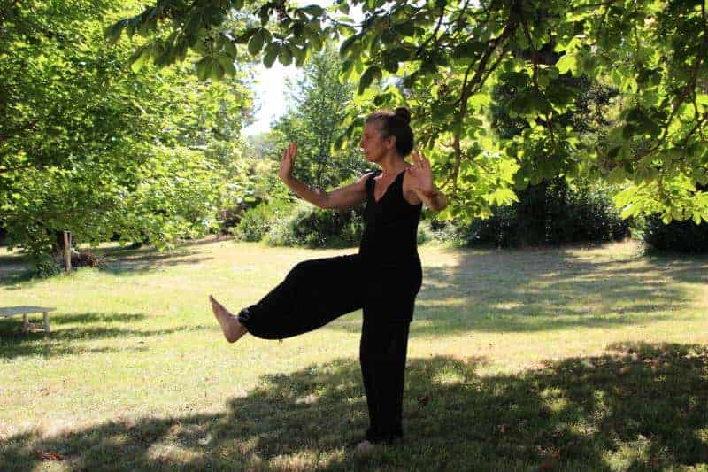 Tai Chi Vs Yoga: Which Practice Is Best For You?