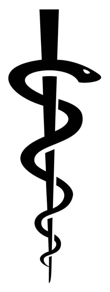Asclepius Wand The Rod of Asclepius