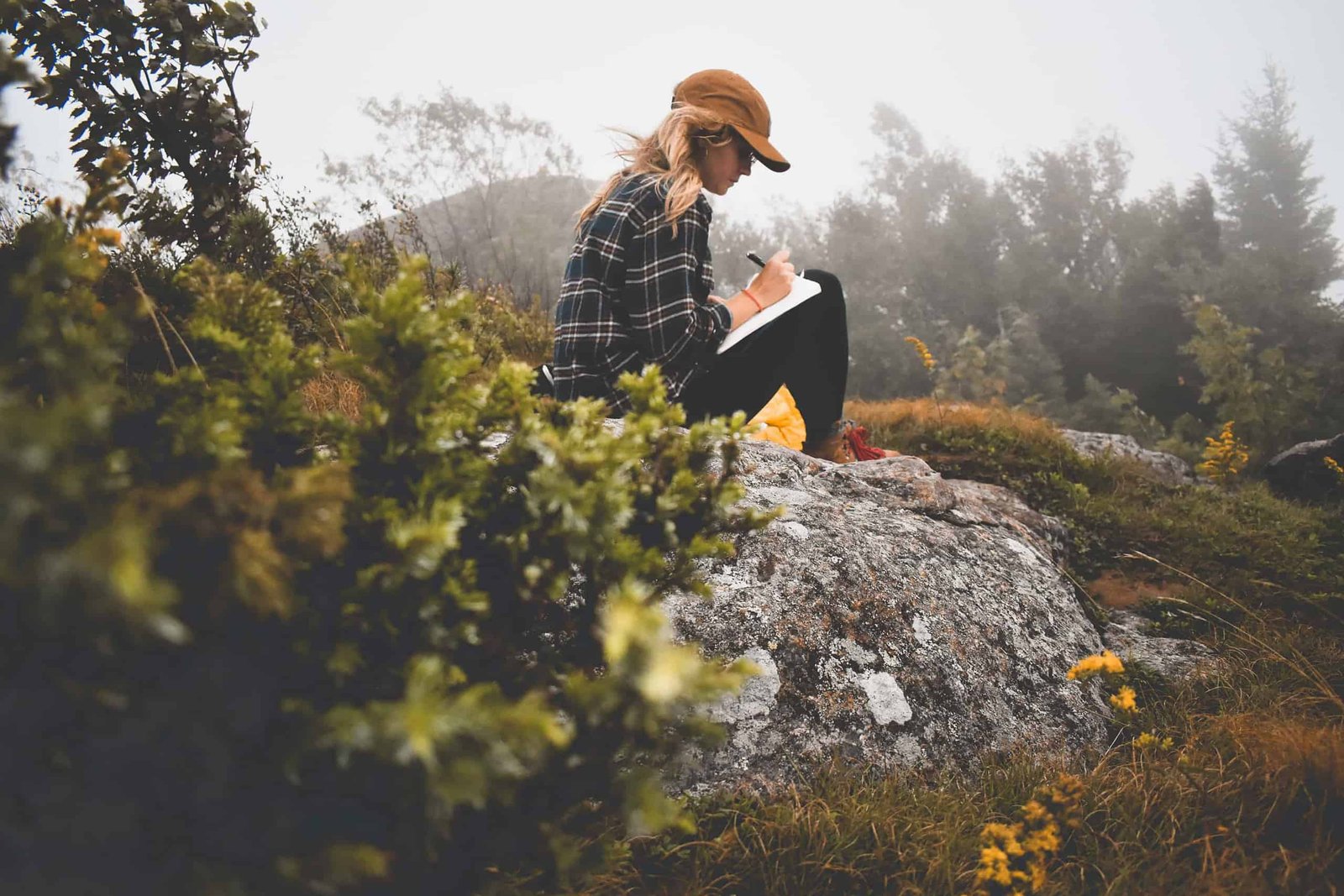https://unsplash.com/photos/333oj7zFsdg?utm_source=unsplash&utm_medium=referral&utm_content=creditShareLink