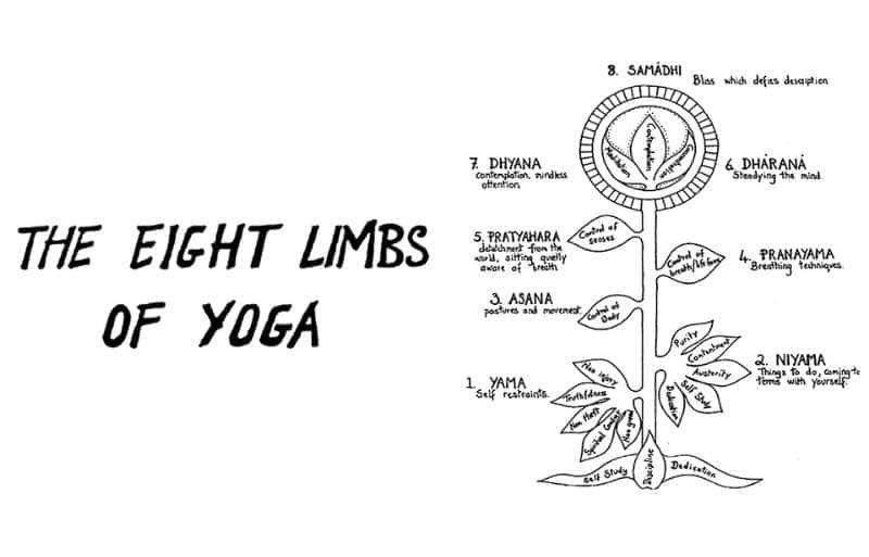 A Beginner's Guide to Yoga Diet - Ayurveda, DDP, etc 3 image 1 2