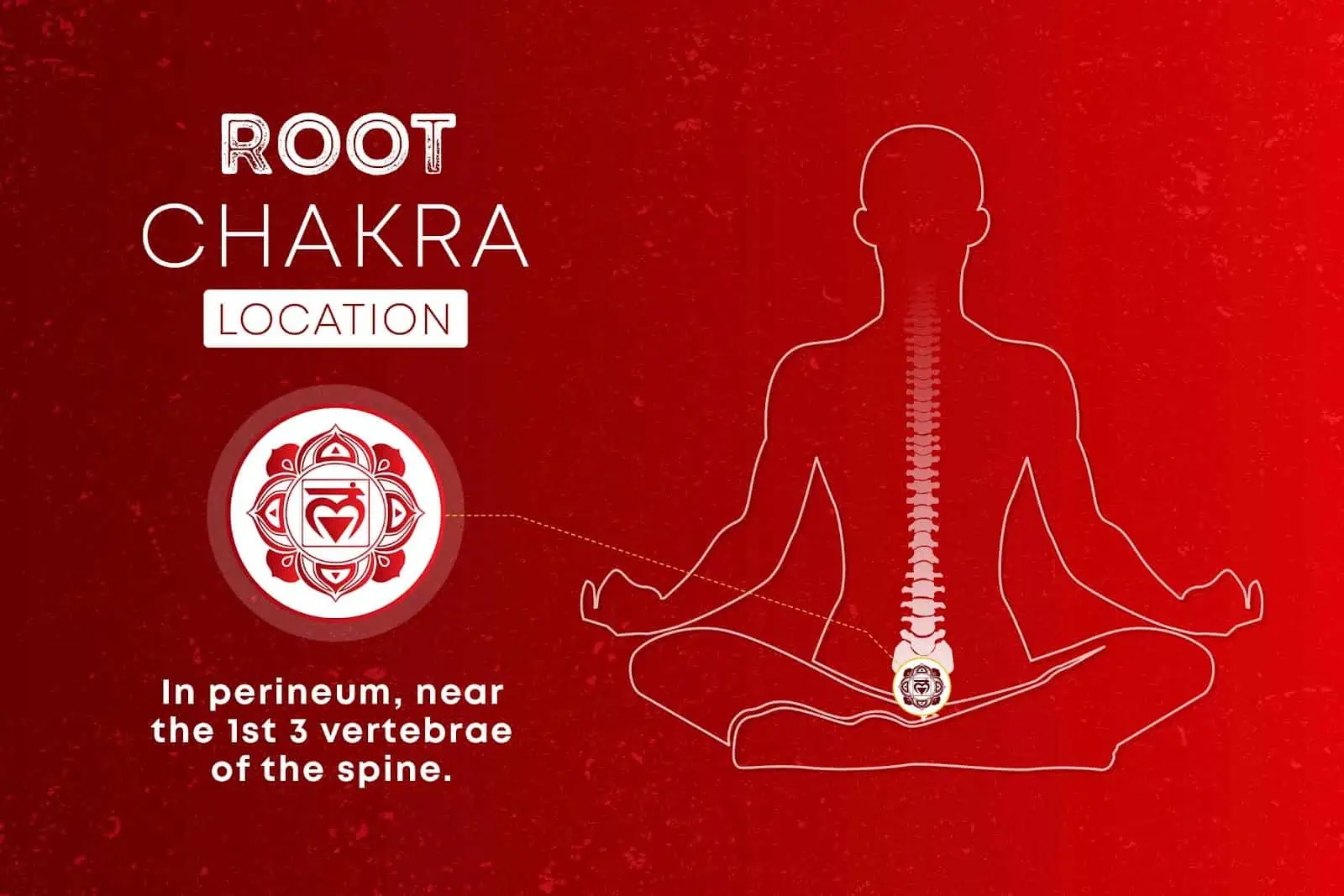 Yoga for Root Chakra: Yin Poses & Sequence - Taylor's Tracks