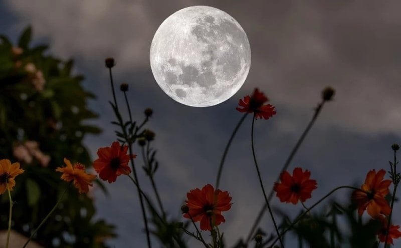 117 Moon Phases Quotes to Celebrate the Divine Creative Force 9 Poetic Lovely Moon Quotes