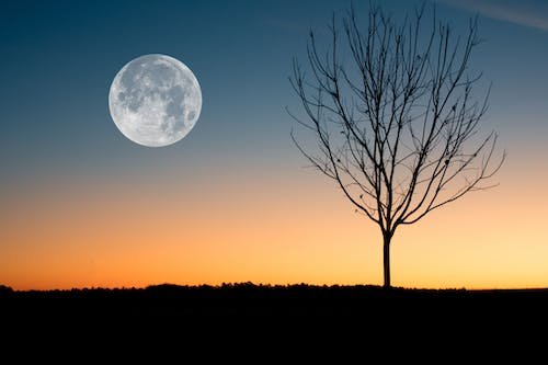 117 Moon Phases Quotes to Celebrate the Divine Creative Force 2 image 133