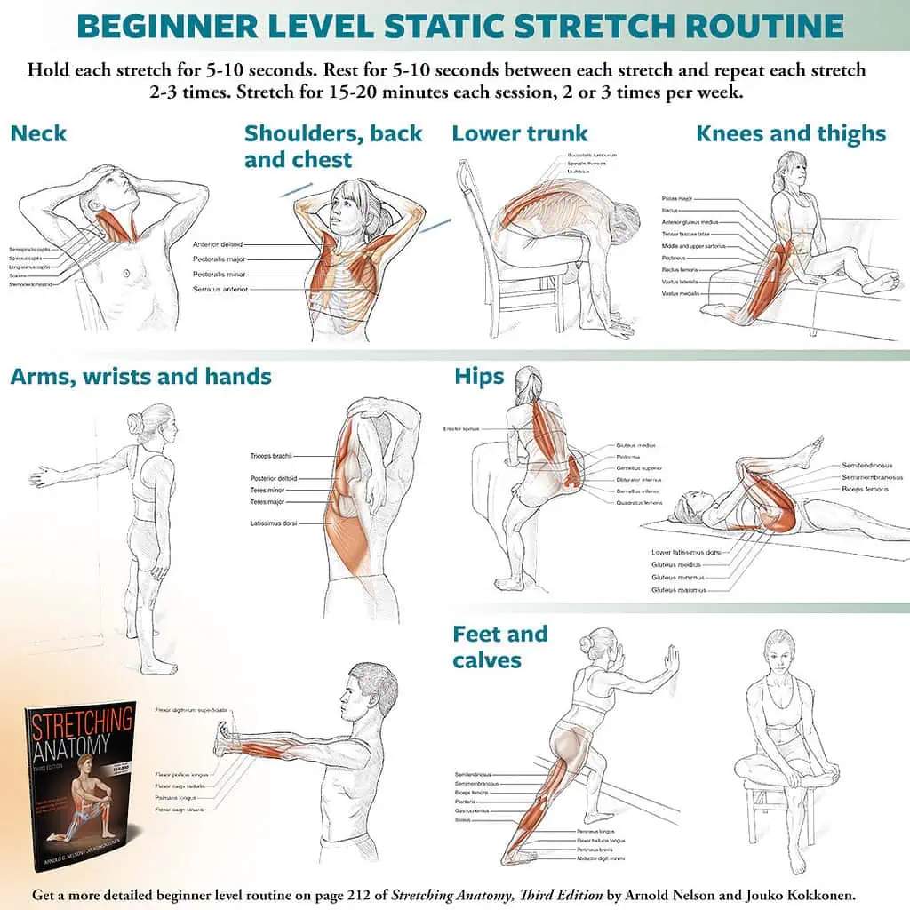 stretching routine