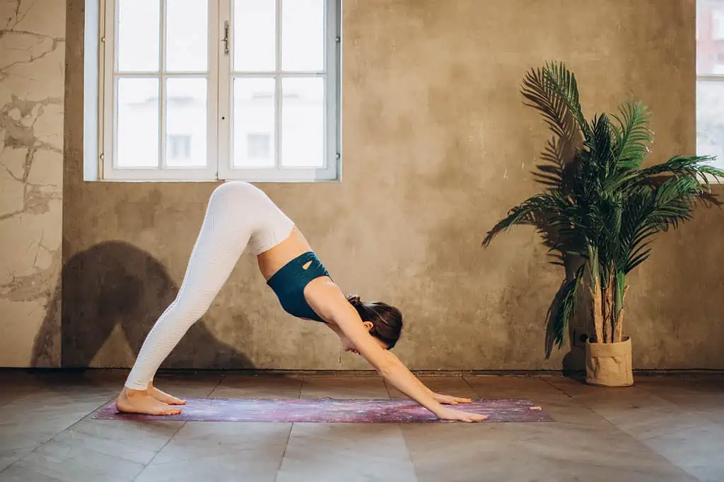 adho mukha svanasana