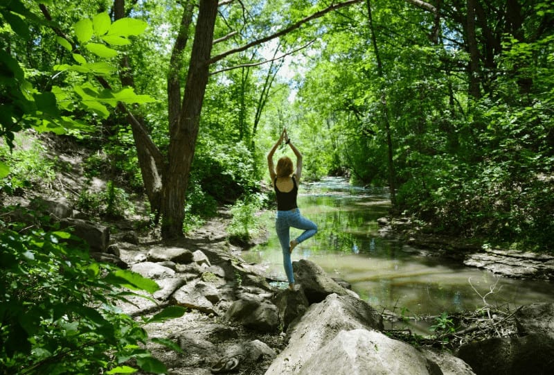 Decoding The Myths and Uncovering The Realities tantra yoga 1 Differences between Tantric and Traditional Yoga