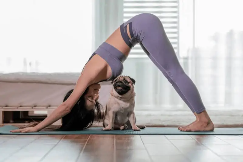 Puppy yoga classes can bring a new level of joy to your practice! Dogs boost your feel-good hormones like serotonin and dopamine.