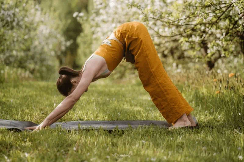 Downward-facing Dog is a forward-bending pose and an inversion, helping calm the mind and increase blood flow to the abdomen.