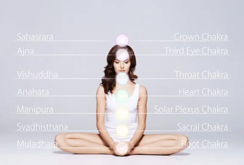 The seven main chakras are energy centers in the body situated along the spine from the tailbone to the crown of the head.