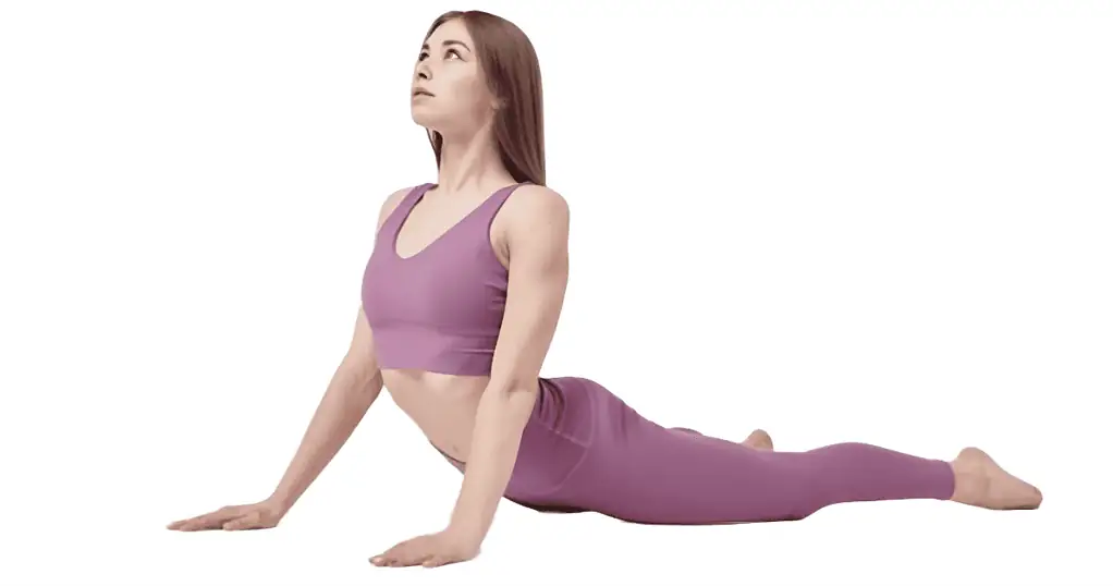 Seal pose is a prone, back-bending yoga pose that stretches the spine and abdomen and strengthens the arms.