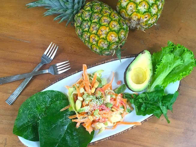 22 day 200 hour ayurveda yoga teacher training guanacaste costa rica