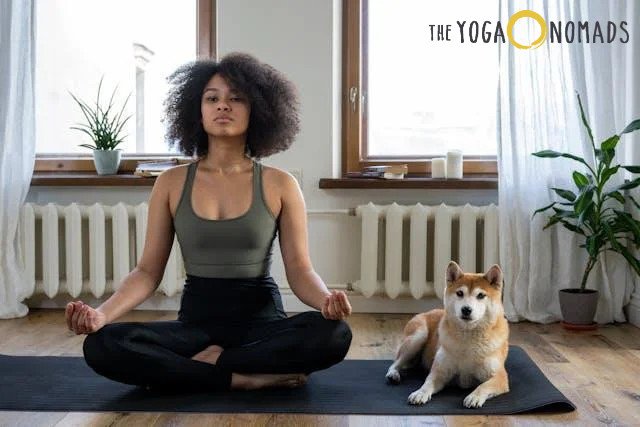 Weekend Warrior’s Guide: Balancing Intense Sports with Yoga Recovery Balancing Intense Sports with Yoga Recovery 1 A woman sitting on a yoga mat with her dog